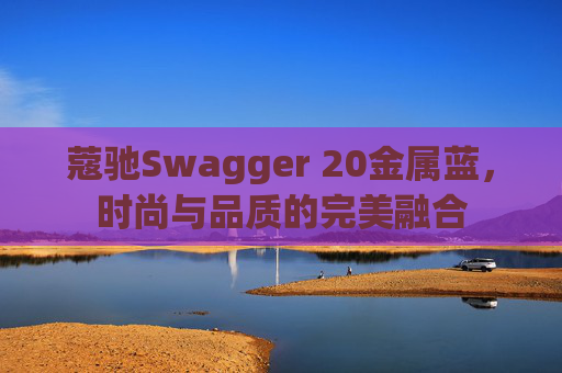 蔻驰Swagger 20金属蓝，时尚与品质的完美融合